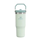 Stanley Iceflow Flip Straw Tumbler 30 OZ - Mist - Lenny's Shoe & Apparel