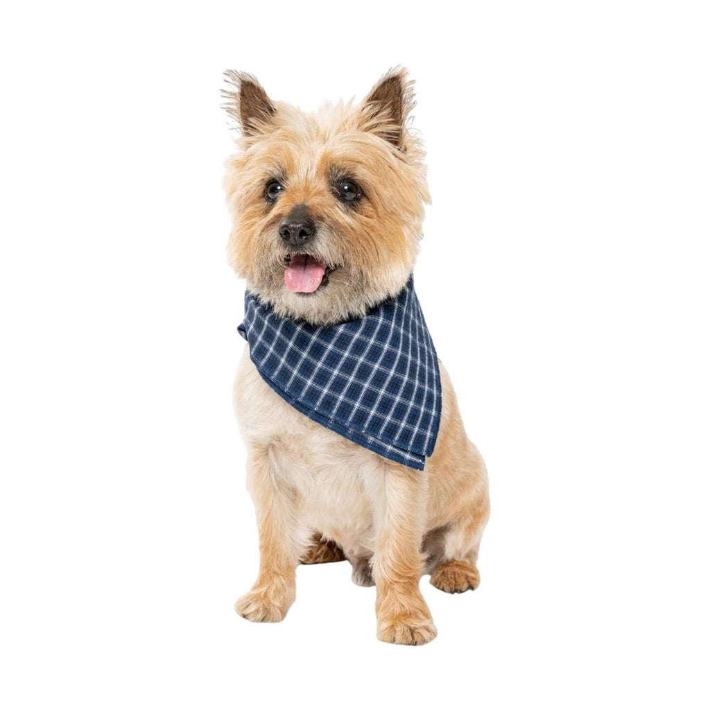 Insect Shield Trail Dog Bandana - Navy Blue - Lenny's Shoe & Apparel